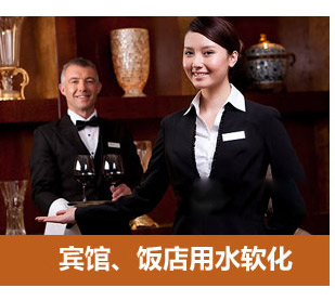 8噸/小時軟化水設備