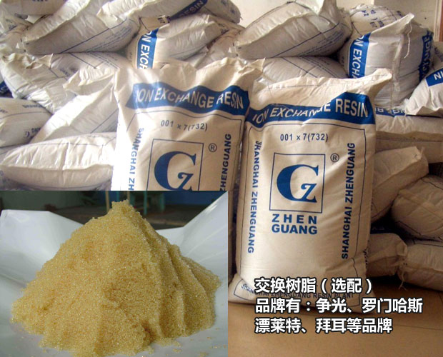 陽離子交換器 陽離子交換器